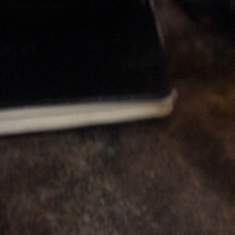 Meet your Posher, Pat